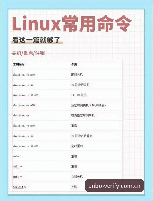 揭秘安博账户操作教程功能详解:从入门到精通的实用指南
